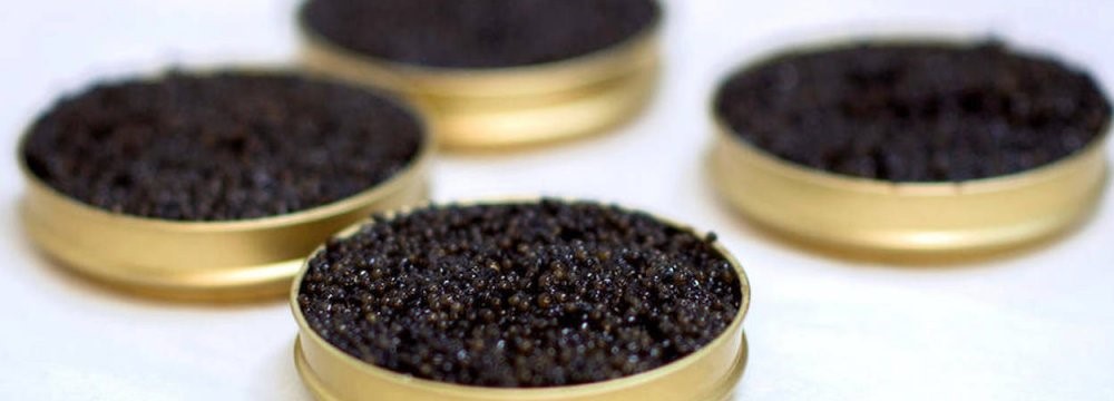 Caviar Exports to US After 25 Years